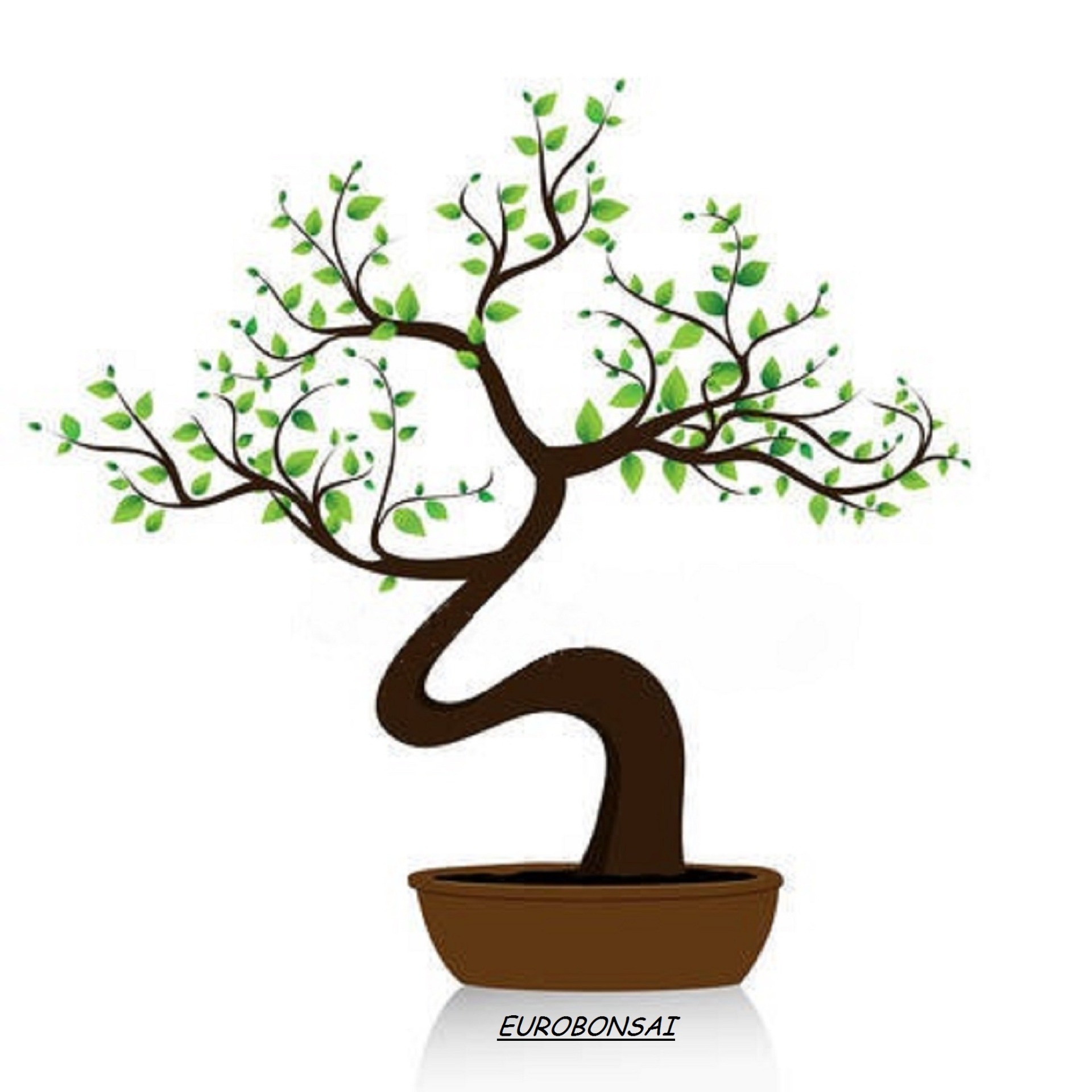 Herramientas – Kingii Bonsai